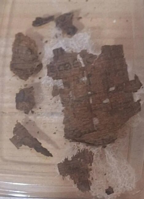 گلدنیوز