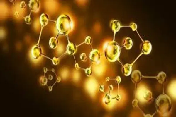 سنتز نانوذرات طلا از نوعی قارچ محلی