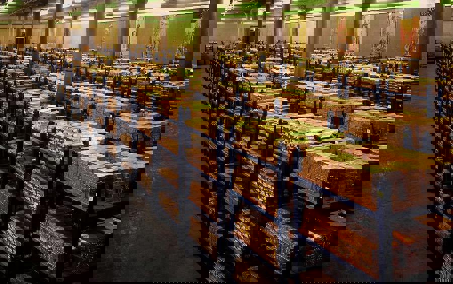 سیگنال جهانی اعتماد به طلا