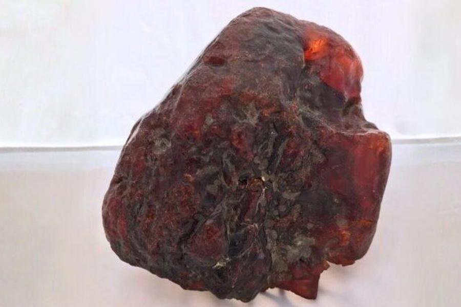 داستان کشف بزرگترین کهربای جهان