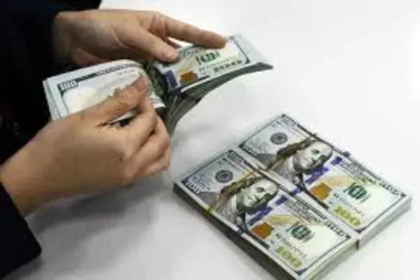 قیمت دلار تثبیت شد