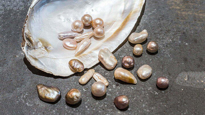 مروارید گوهری درخشان از دل دریا