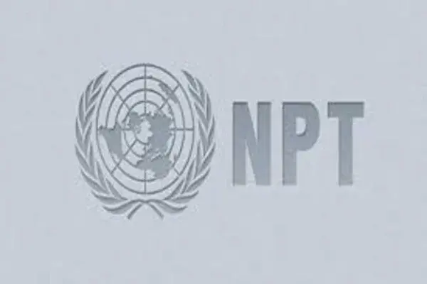 NPT چیست