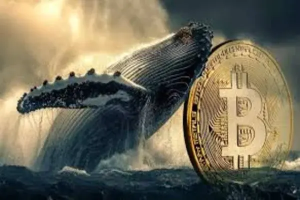 نقش نهنگها در جهت حرکت قیمتها