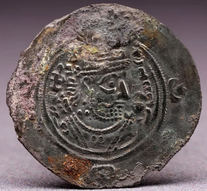 کشف سکه های ساسانی از مقبره بانوی چینی